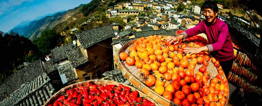 《古村晒秋》 王文/摄