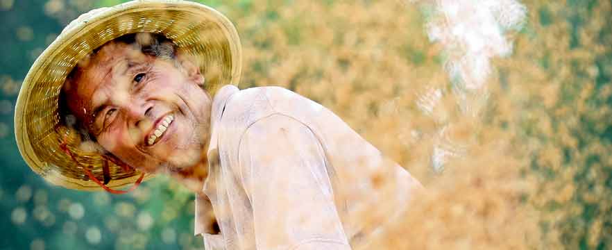 《舞动的麦收》 王昊宇/摄