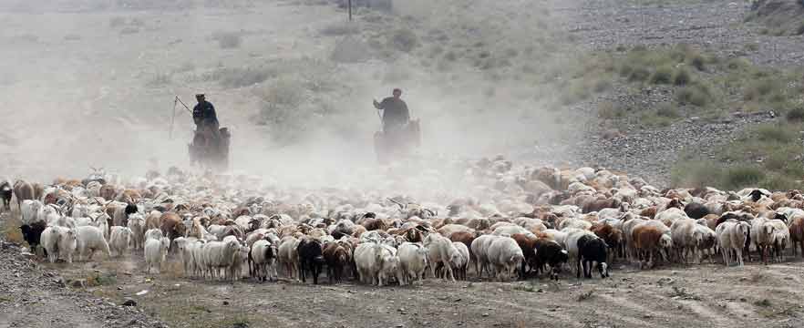 《西部风情》 王圳/摄