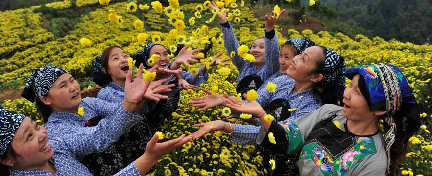 《花满人间》 向民航/摄
