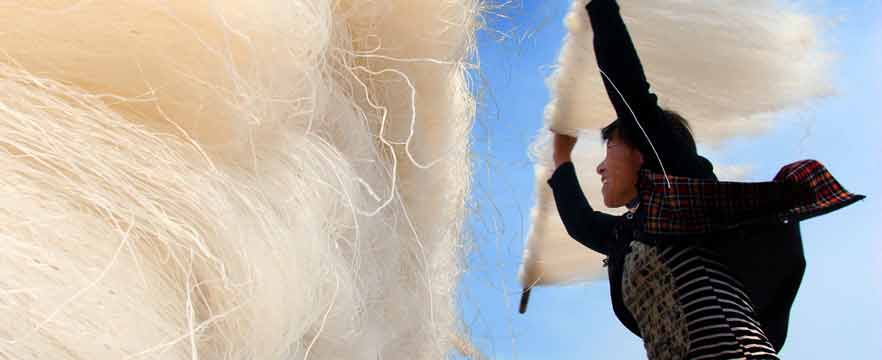 《银丝飞扬》 朱亚云/摄