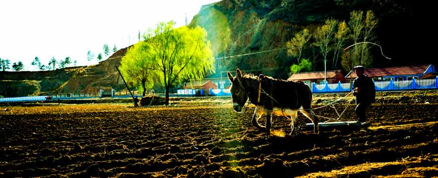 《播种希望》 范永辉/摄
