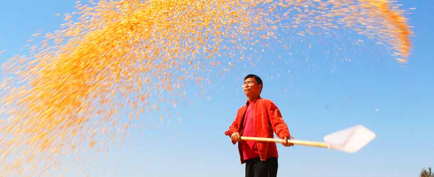 《天晴好晒秋》 王高超/摄