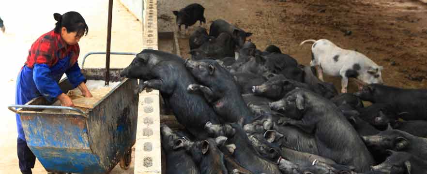 《迫不及待》 周恩革/摄