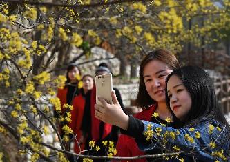 多措並舉脫貧&ldquo;提速&rdquo; 佛坪成為陜西脫貧摘帽第一縣