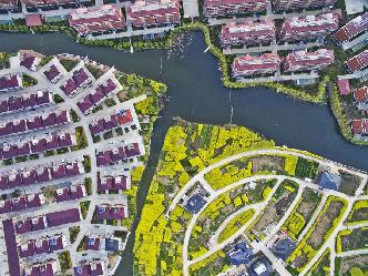 新農村美景入畫來