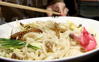 日本餐館昆蟲變美食