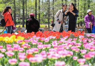 首屆青島賞花會開幕