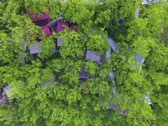 重慶北碚：棗林裏的火鍋樂園