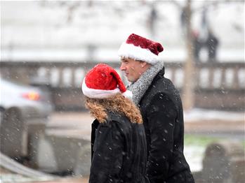 華盛頓迎來初雪