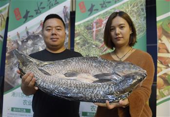 淅川丹江核心水源區優質扶貧農産品在京推介