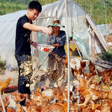 微对话吉林大学生村官朱洪波