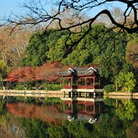 冬日西湖边杂片