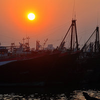 【大海边】渔港码头的早晨