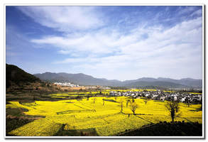 美丽乡村春色染