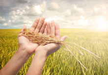 【新华调查】十三五规划，您对未来发展有何期待？