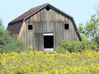 买房一定要选高层