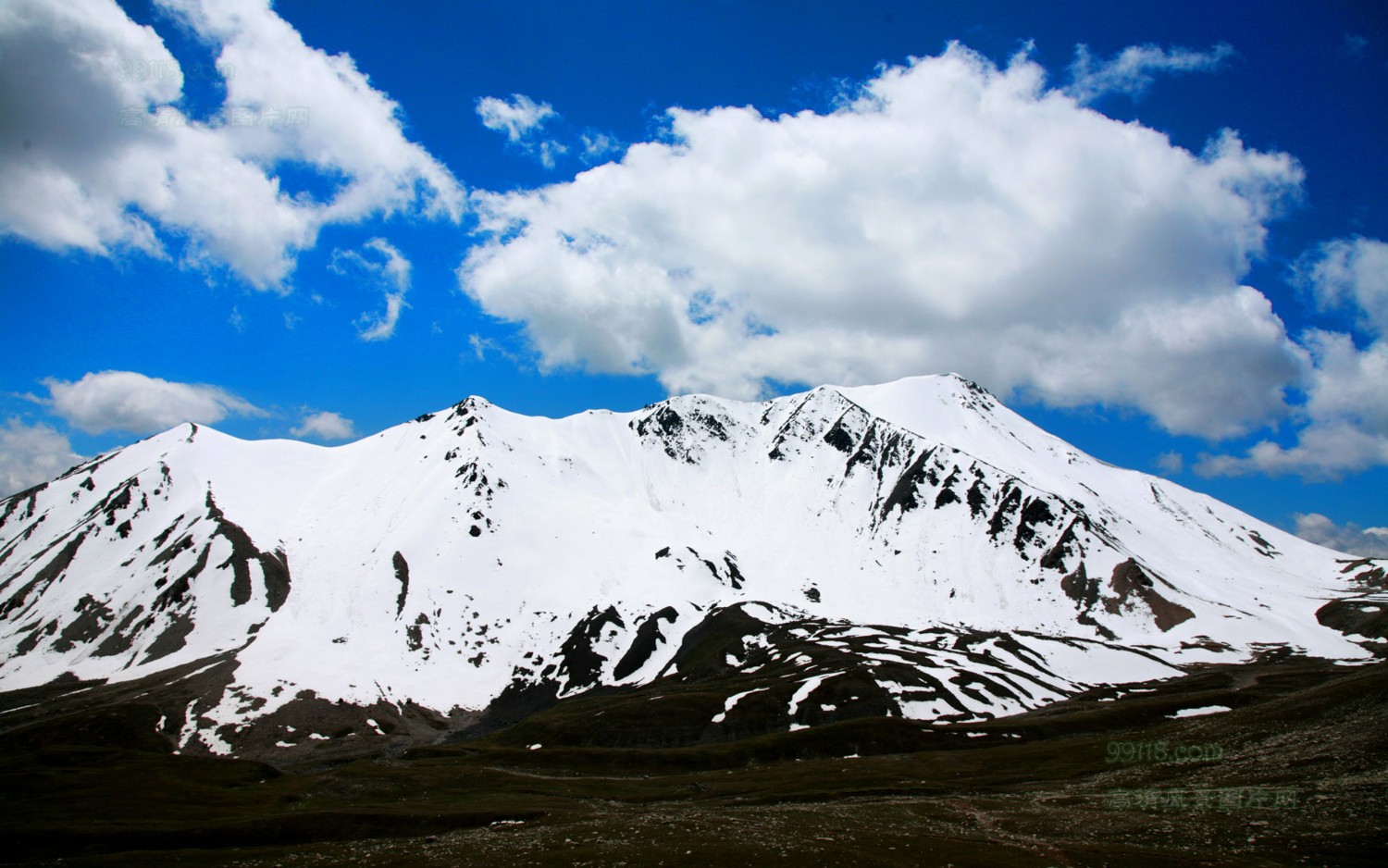 提到新疆，你首先想到的是什么？