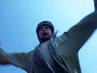 双十一去京猫剁手吧