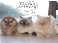 跨界人才是真正的高手