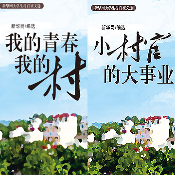 《新华网大学生村官征文选》出书啦