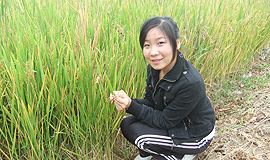 党支部书记助理：冷翠云