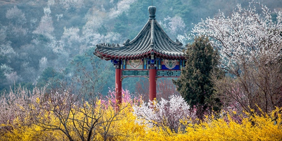 【征稿】第七届北京 &ldquo;西山晴雪&rdquo;摄影大赛