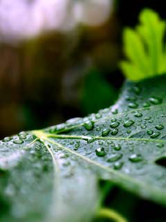 下雨了(高海辉)