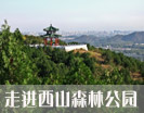 北京西山森林公园摄影大赛