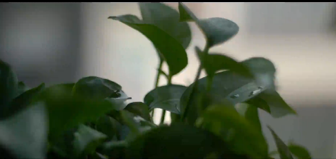延时摄影片段