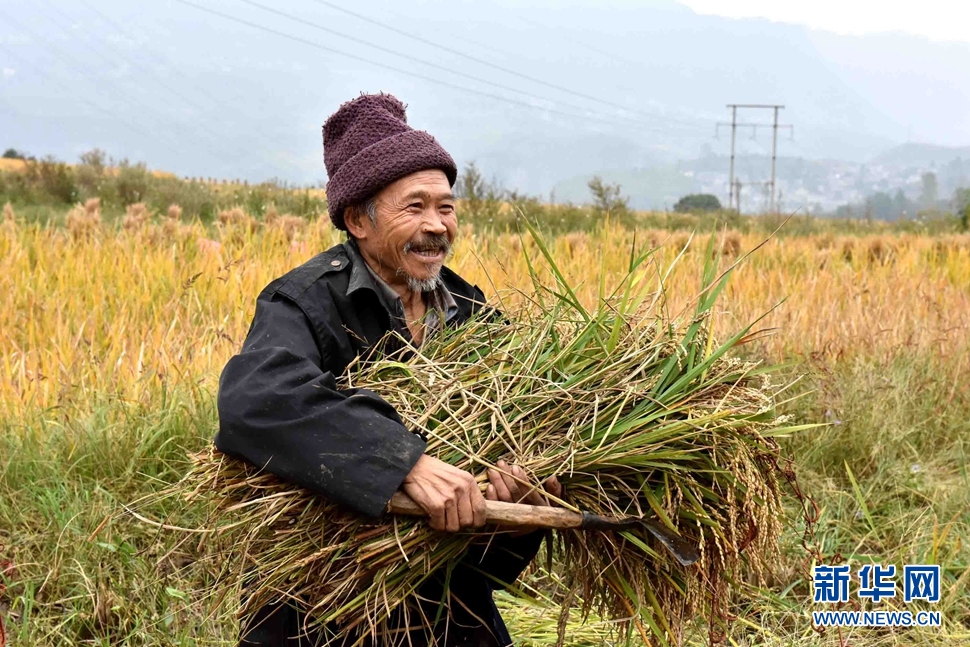收获了,农民笑了