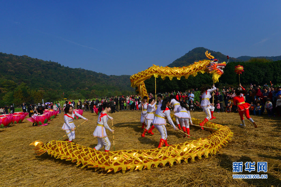 城市“农乐节”映像