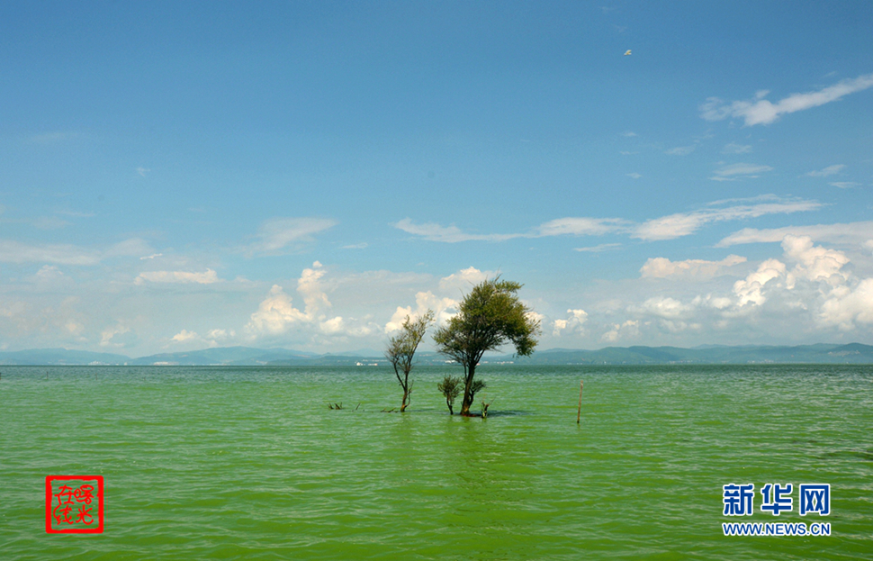 阳光昆明，爽爽的春城