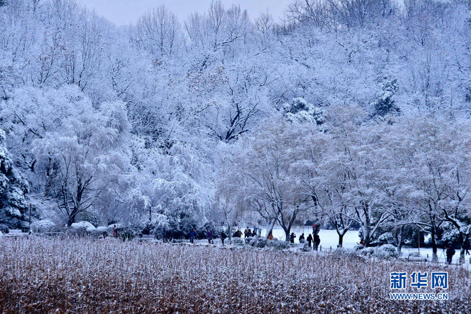 大雪季节发雪片