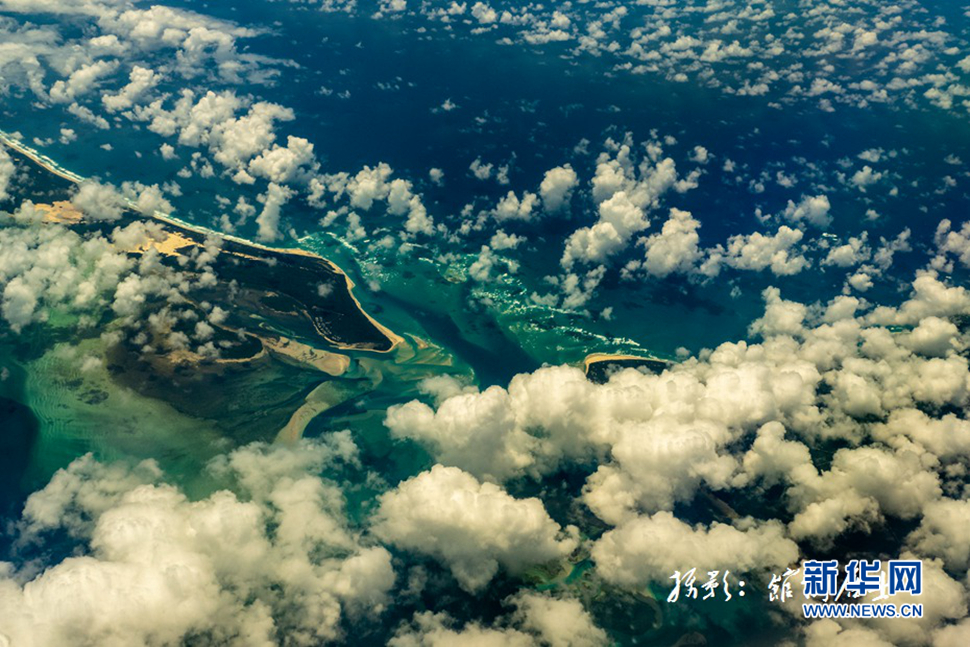 飞跃太平洋，跨越秋与春