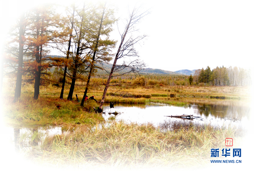 无尽画意镜头中: 野色金秋