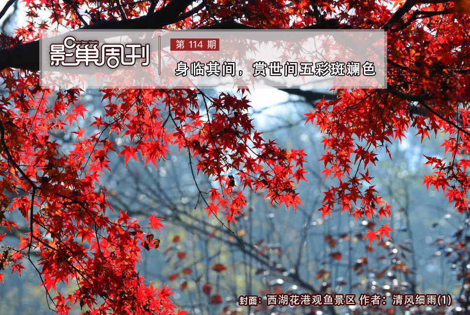 西湖花港观鱼景区