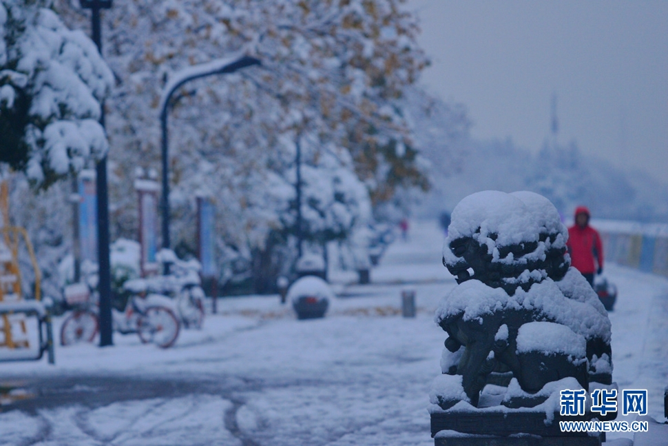 钱塘江边雪景