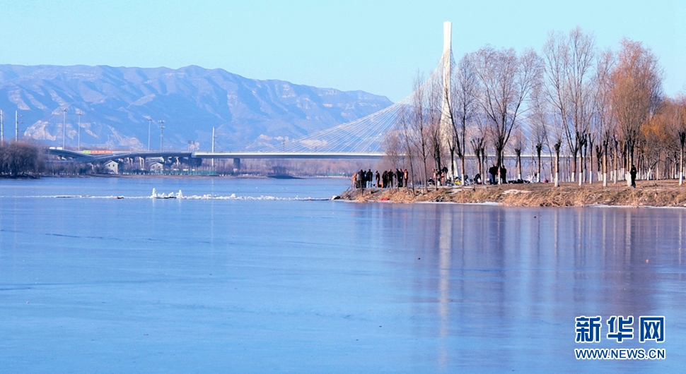 冬日汾河湿地