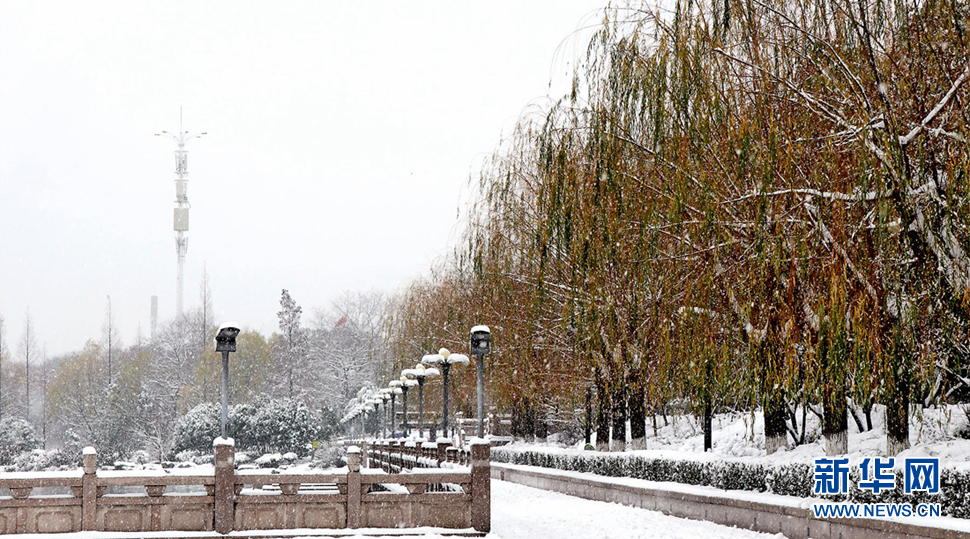 一夜变“雪城”