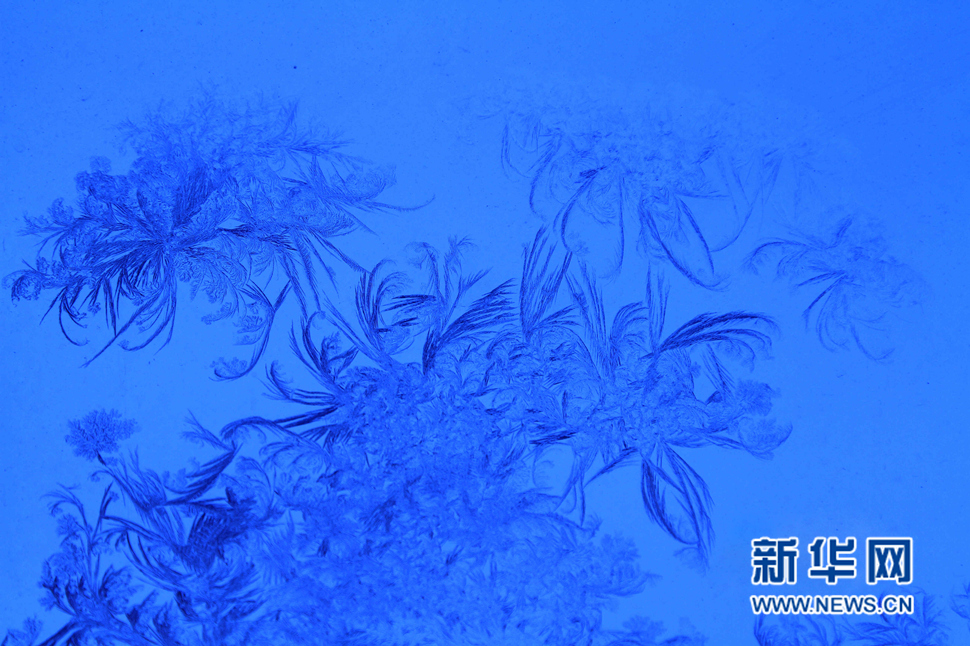 忽如一夜寒冬来，千家万户窗花开