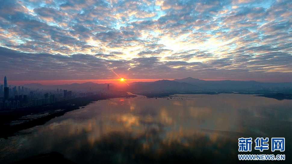 深圳湾的早晨和黄昏