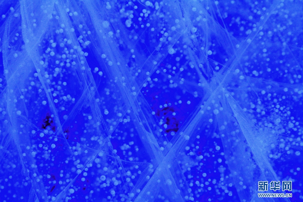 气泡冰亮晶晶，蓝精灵赛繁星