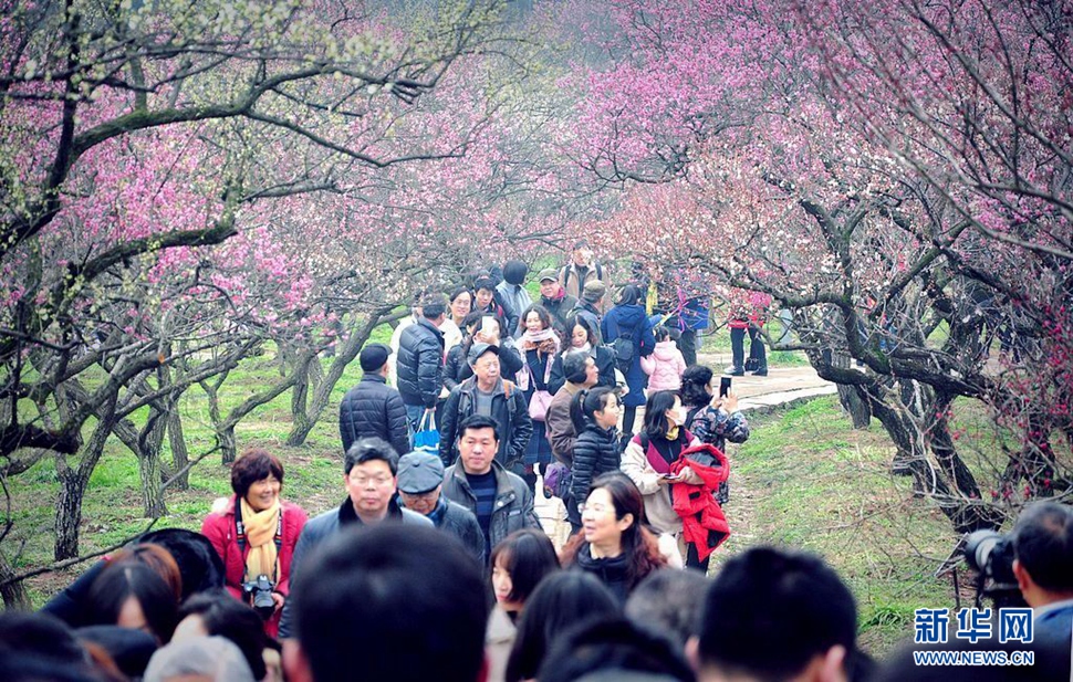 梅开又是一年春