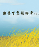 买车买房,买过最贵的是梦想