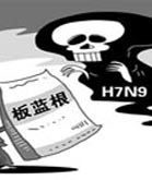 古建捐外国，自家娃他人护？