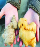 微话筒：我们陷入"互害型"社会？