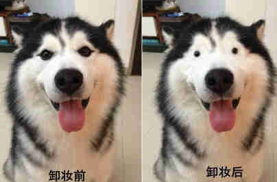 亿万人都看不清！白金VS蓝黑