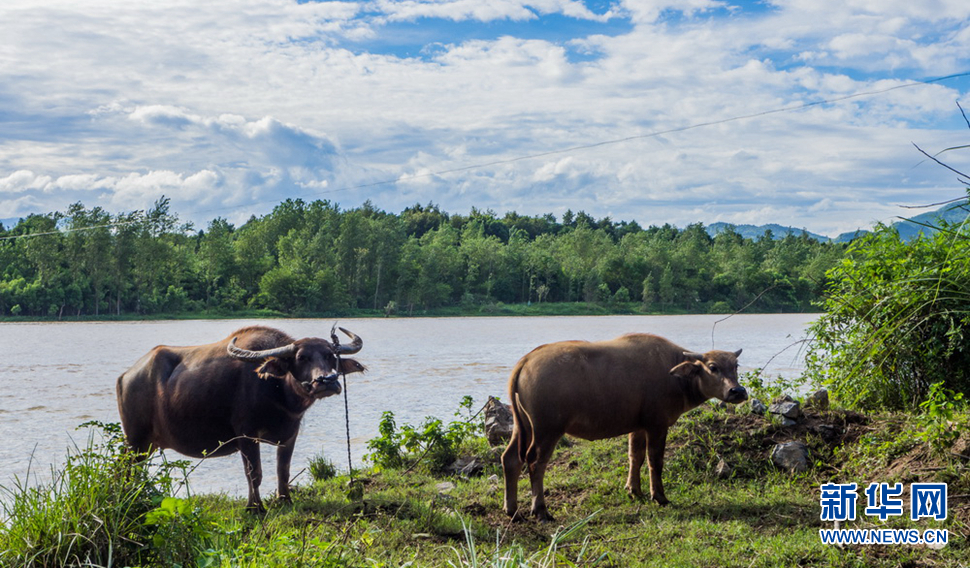 家乡见闻--山水相连的湘、桂交界处的风景
