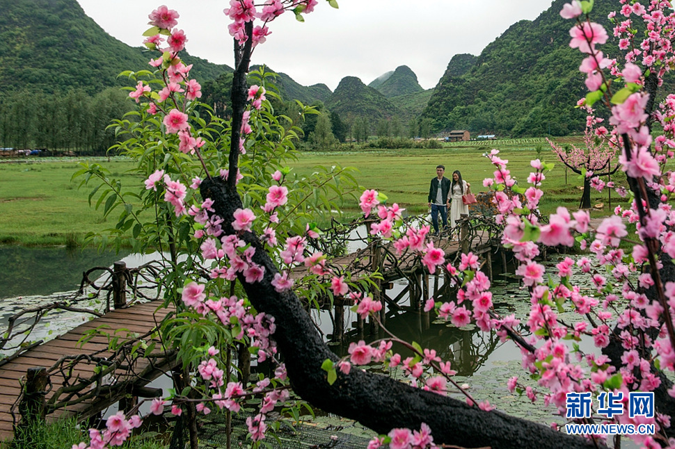 《桃花盛开的时候》